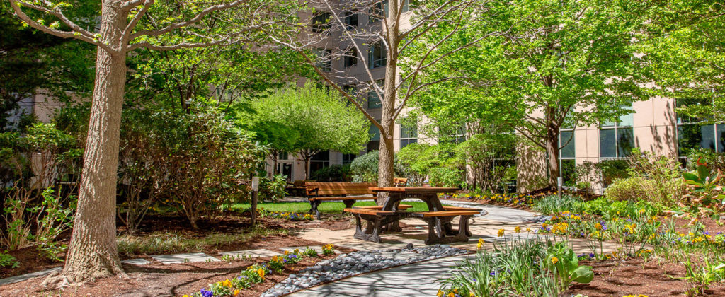 Green trees, park benches, tables and plants in a courtyard, during Spring.